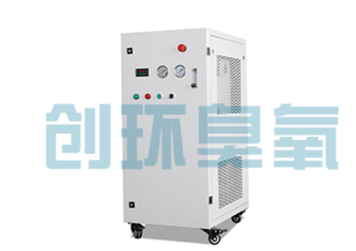 鹰潭石斑鱼养殖水质调控完整指南:臭氧发生器配置与操作步骤