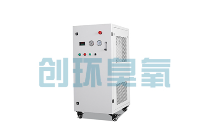 鹰潭比传统换水更高效?臭氧发生器在石斑鱼养殖中的水质净化原理解析